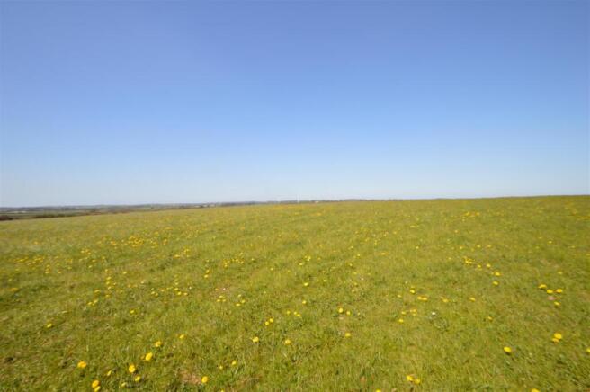 The Land