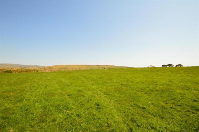The Land