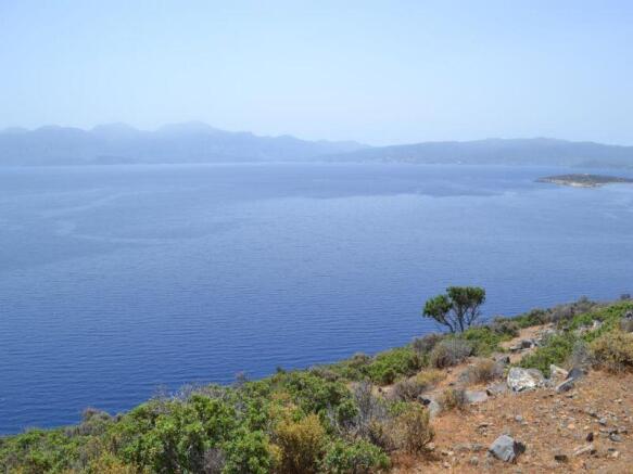 PLEL18 - view from the plot