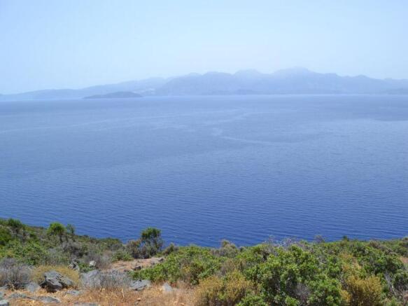 PLEL18 - view from the plot