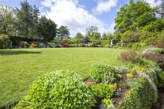 Lawn
