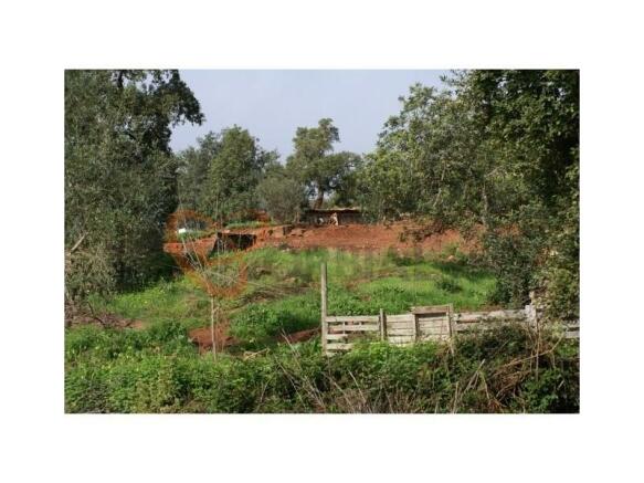 For sale Land in Silves