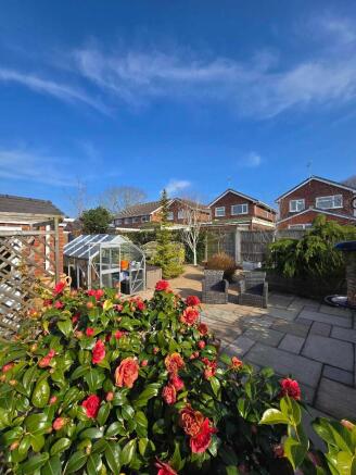 Back garden
