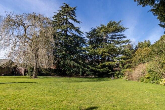 Lawn