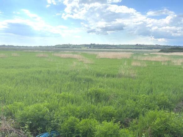 Photo 21-05-2025, 16 55 21.jpg