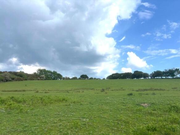 Photo 21-05-2025, 16 55 22 (2).jpg