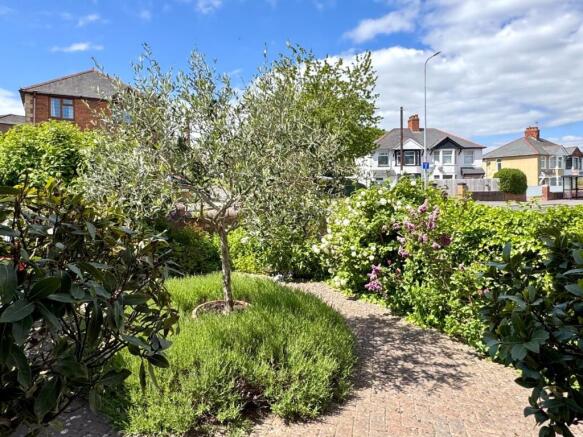Front Garden
