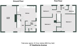 Floorplan - 37 Hawthorne Avenue