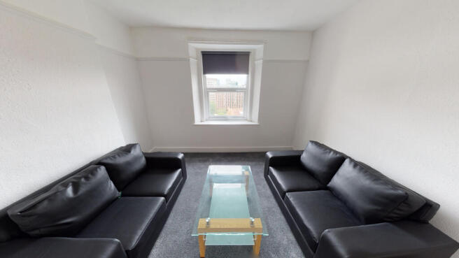 76-Colts-on-Street-0