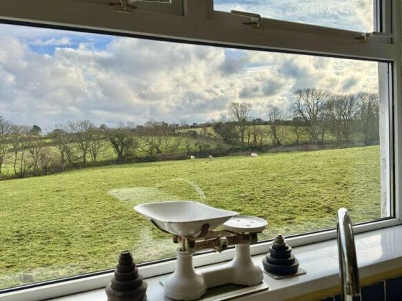 View From the Kitchen