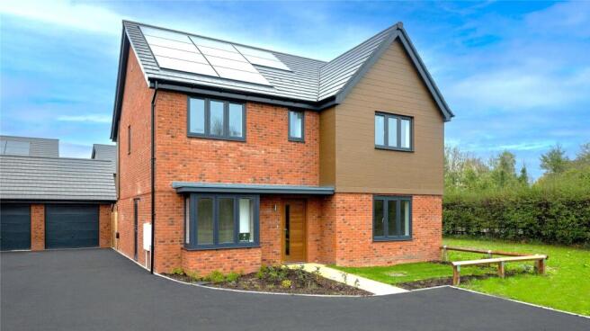 Plot 5