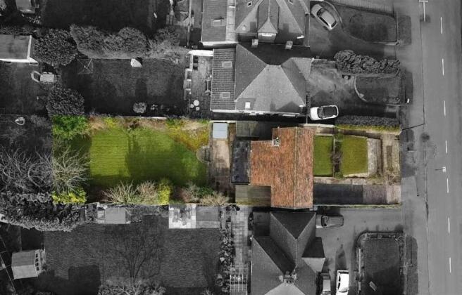 Plot View