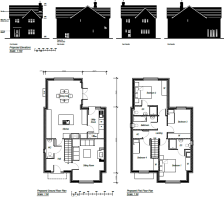 Floor/Site plan 1