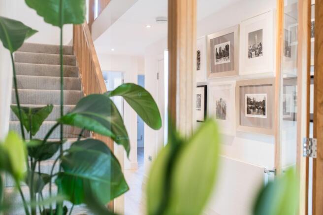 Award-winning Media team on EVERY Listing_3