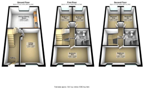 Denison Layout 2.png