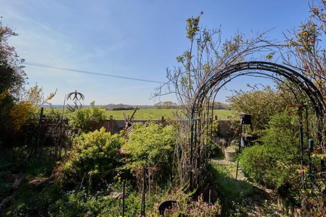 Garden & View