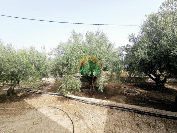 3 Bedroom Detached For Sale-LIB01-3