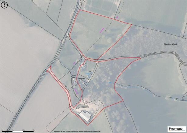 Promap-3058628-3156848.jpg