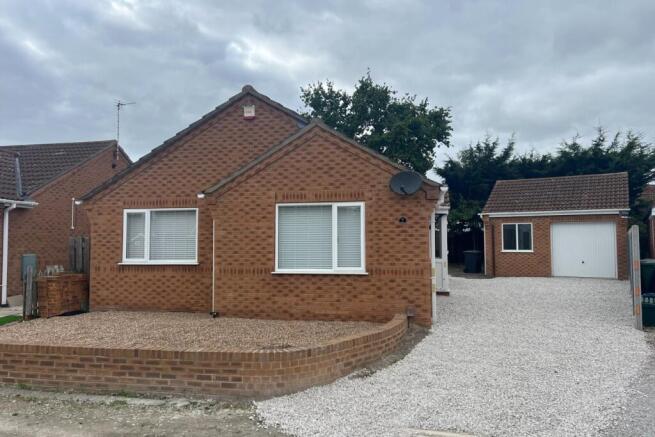 Betula 3 full front shot