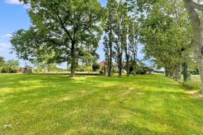 rear shot 3 (Portal Size).jpg