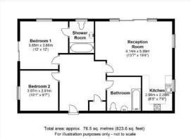 Picture 8