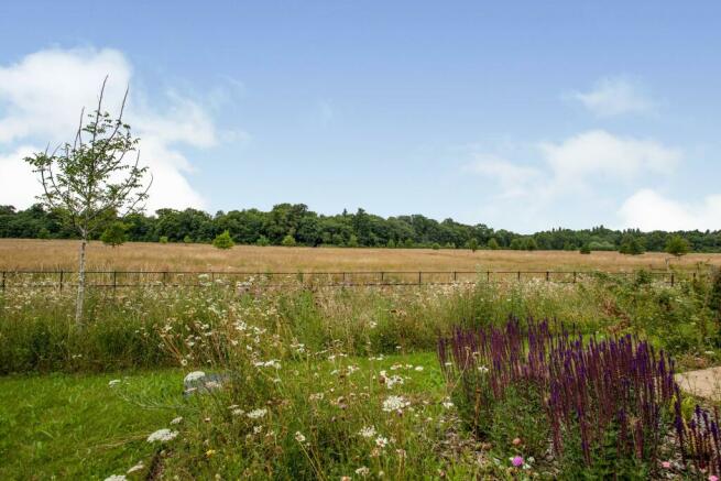 Country Park