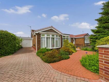 Langholm Avenue, North Shields