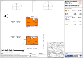 Floor/Site plan 1