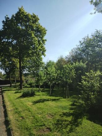 Picture6.jpg
