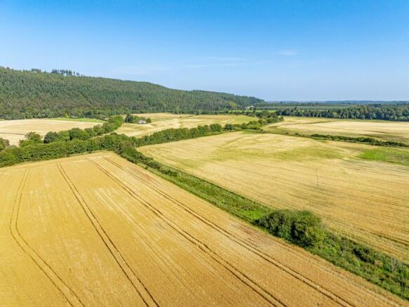 Pluscarden - Lot 2