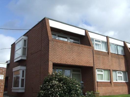 rear aspect