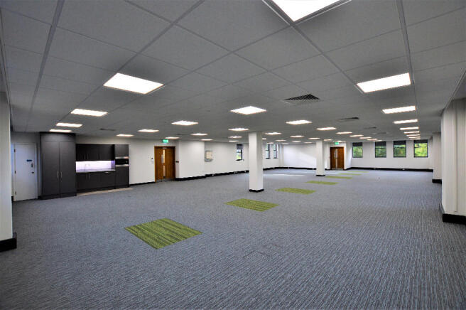 Large Suites