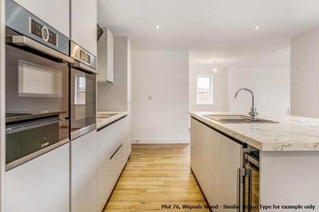 Lrg_Plot 76, Wignals Wood (Holbeach)-28