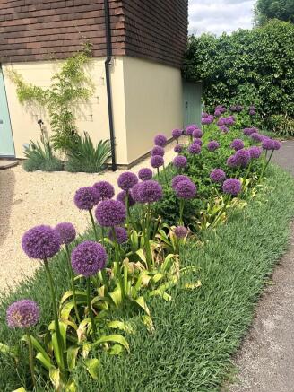 side garden