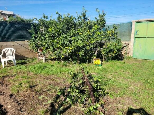 Land with orchard and tool house in Es Mercadal