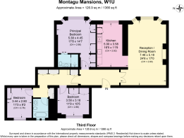 Floorplan - Montagu 