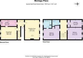 Floorplan - Montagu 