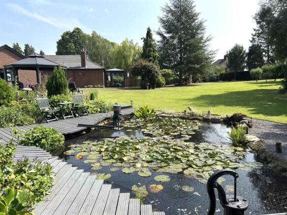 pond and garden.JPG