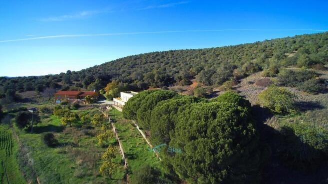 peaceful countryside