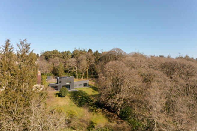 267924 - 20250303-BEECHES_TRINITY-HILL-RD_TMH-2...