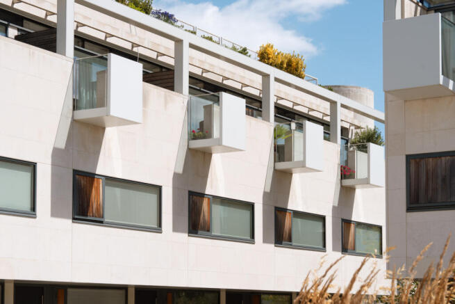 298202 - DSC08952.jpg