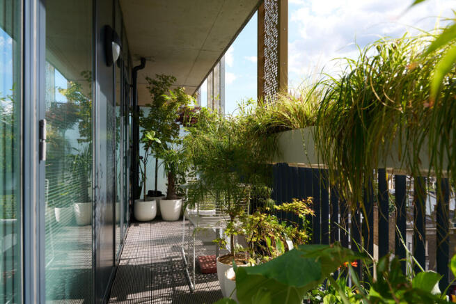 301558 - DSC09122.jpg