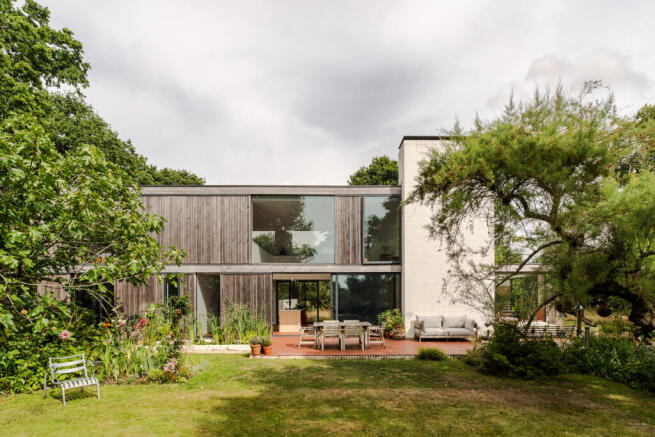 303791 - Woodpeckers-31.jpeg