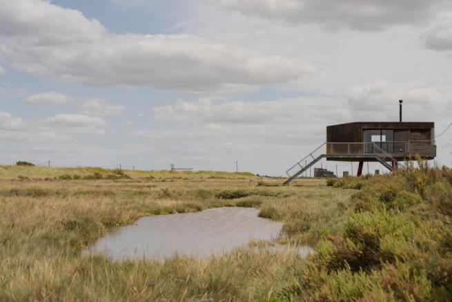 295218 - Redshanks, Lea on Sands-7.jpg