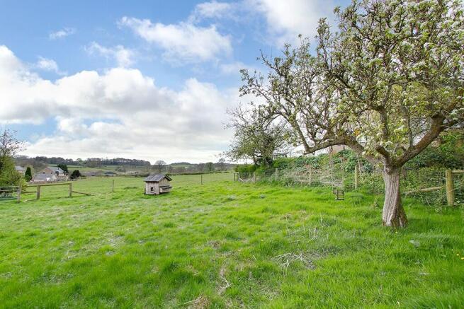 Orchard