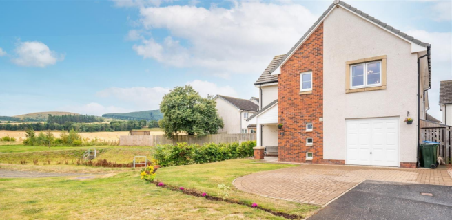 38 Ptak External .png