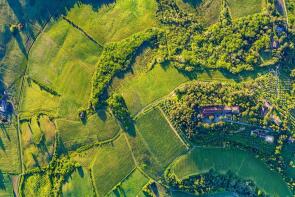 Photo of Tuscany, Pisa, San Miniato