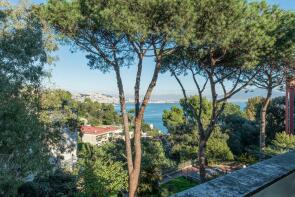 Photo of Campania, Naples, Naples