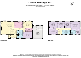 23-conifers-kt13-flo