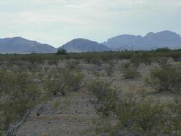 Photo of Arizona, Maricopa County, Tonopah
